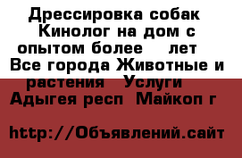 Дрессировка собак (Кинолог на дом с опытом более 10 лет) - Все города Животные и растения » Услуги   . Адыгея респ.,Майкоп г.